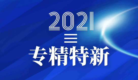 我司荣获浙江省“专精特新”中小企业